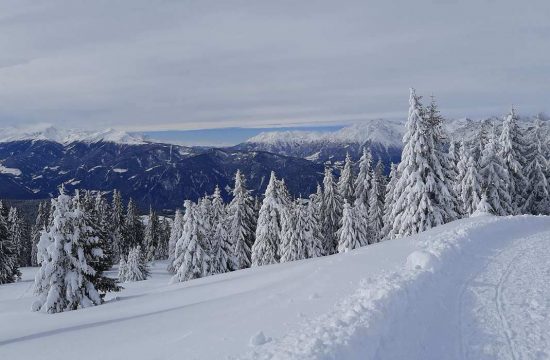 Winter holidays at the Boznermüllerhof in Vöran near Meran - South Tyrol