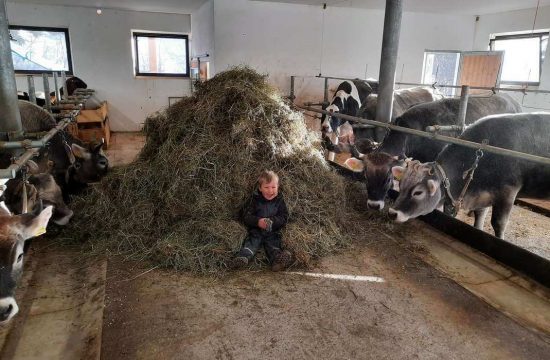 Farm holidays at the Boznermüllerhof in Vöran near Meran - South Tyrol