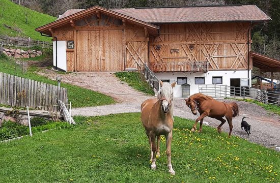 Farm holidays at the Boznermüllerhof in Vöran near Meran - South Tyrol