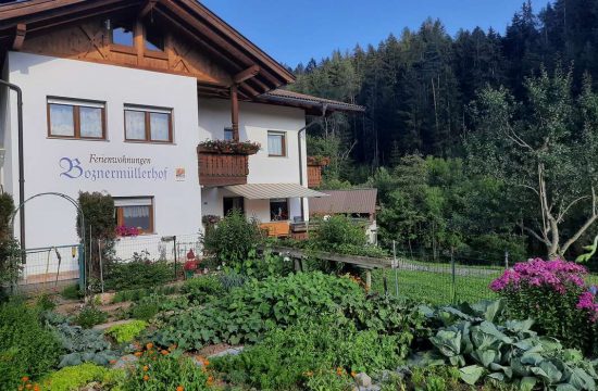 Farm vacations at the Boznermüllerhof in Vöran near Meran - South Tyrol