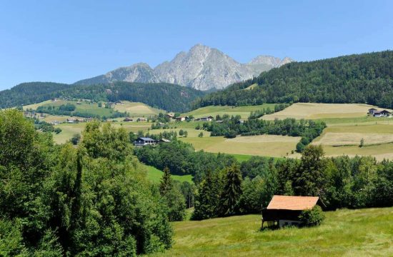 Farm holidays at the Boznermüllerhof in Vöran near Meran - South Tyrol